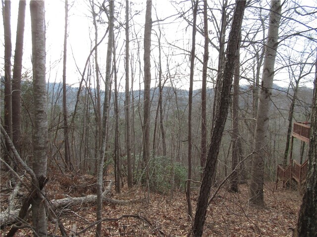 Photo of 00 Lone Rock Court