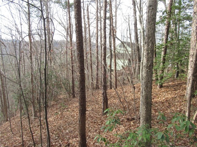 Photo of 00 Lone Rock Court