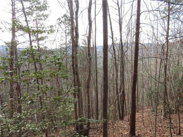 Photo of 00 Lone Rock Court