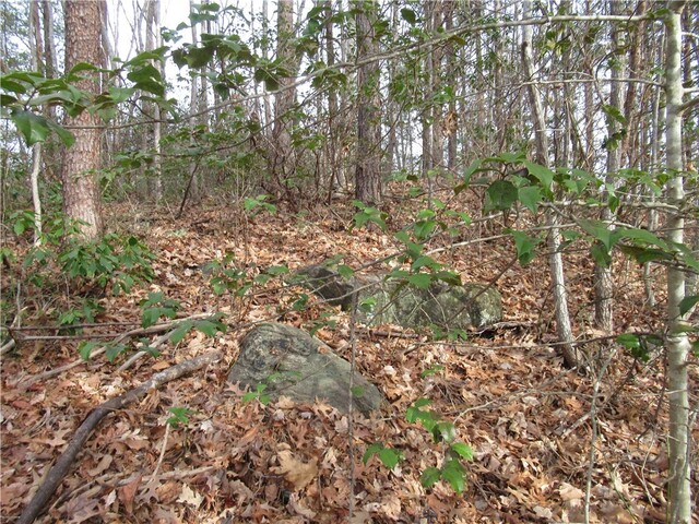 Photo of 00 Lone Rock Court