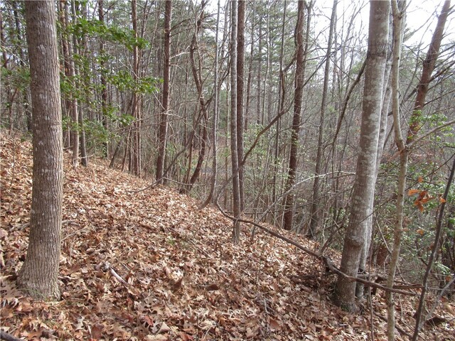 Photo of 00 Lone Rock Court