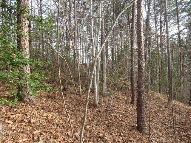 Photo of 00 Lone Rock Court
