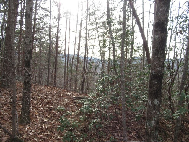 Photo of 00 Lone Rock Court