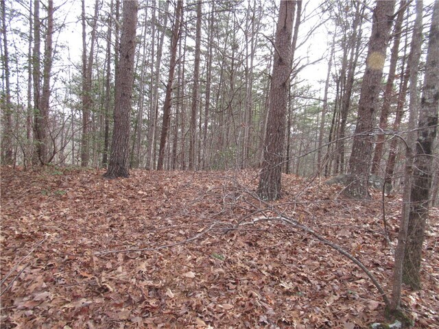 Photo of 00 Lone Rock Court