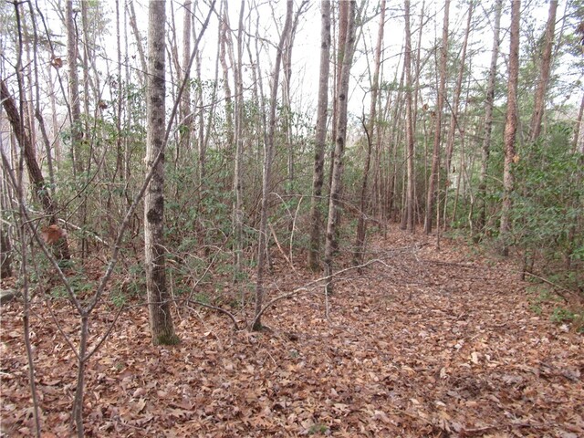 Photo of 00 Lone Rock Court