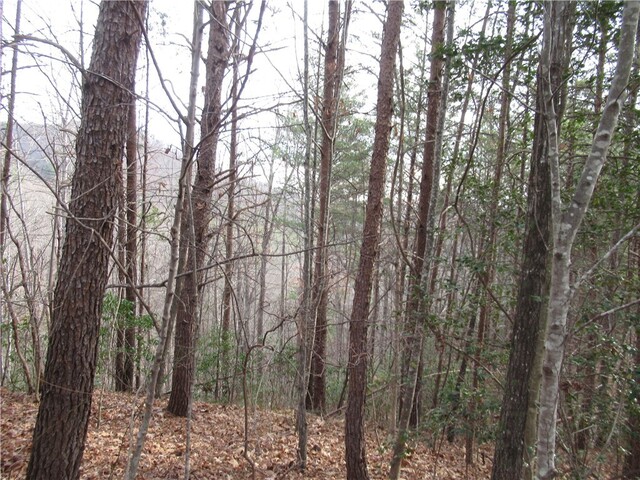 Photo of 00 Lone Rock Court