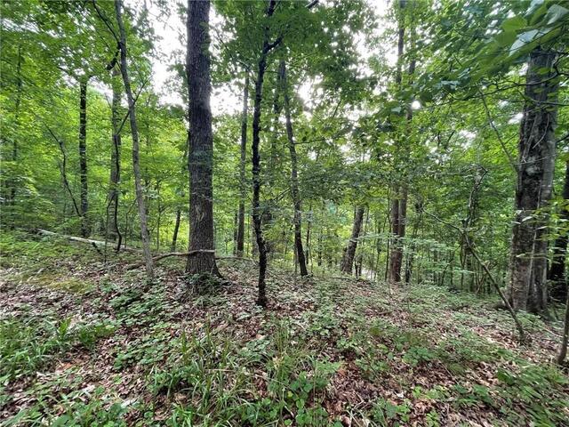 Photo of Lot 614 S Sundew Drive