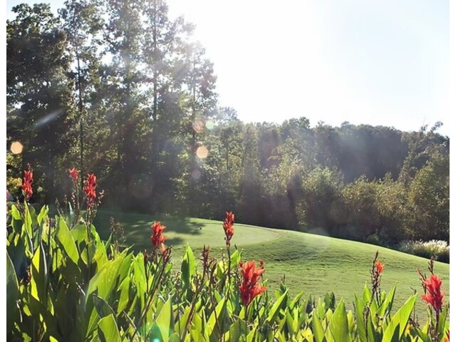 Photo of Lot 954 Chickasaw Drive