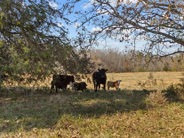 Photo of 186 Woodville Road