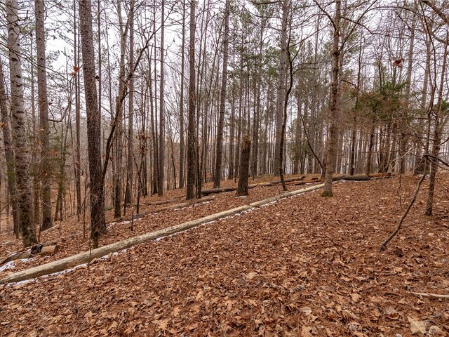 Photo of 109 Hawks Bay Court