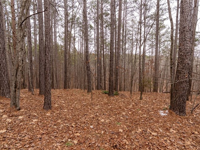 Photo of 109 Hawks Bay Court