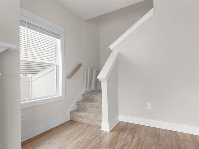 Photo of 338 Pewter Circle