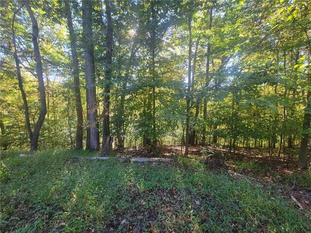 Photo of Lot 228 Boxwood Lane