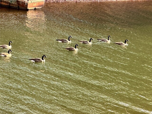 Photo of 18C Hartwell Villas