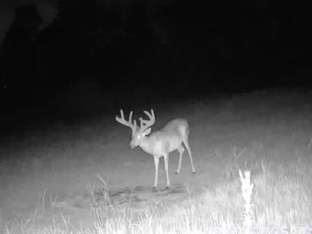 Photo of 1 Sarah Simpson Road