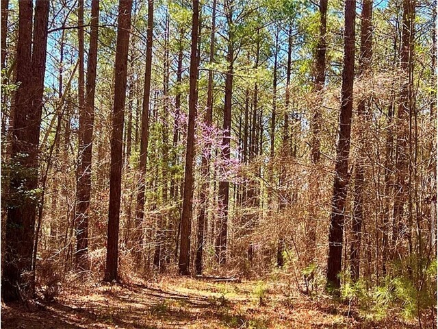 Photo of 1 Sarah Simpson Road