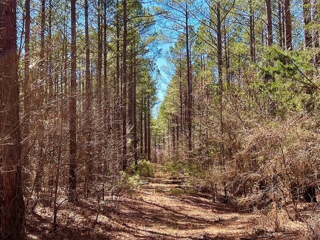 Photo of 1 Sarah Simpson Road