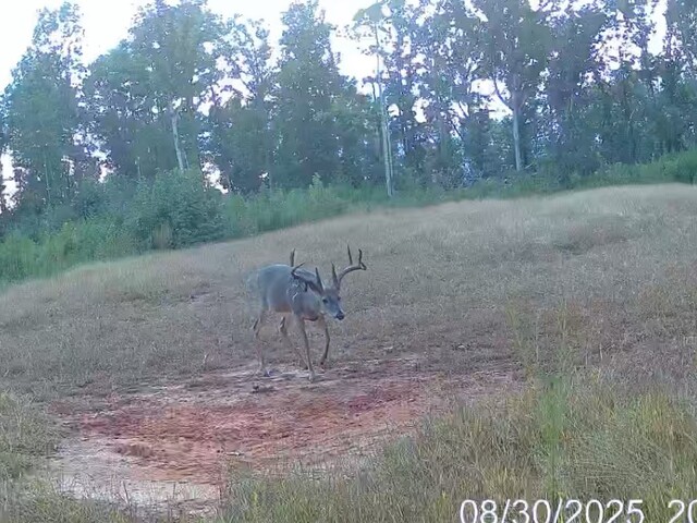Photo of 1 Sarah Simpson Road