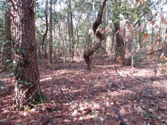 Photo of 15 Matthews Creek Lane