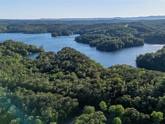 Photo of Lot 23 Old Shallowford Bridge Road