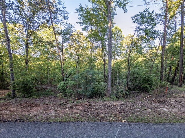 Photo of Lot 23 Old Shallowford Bridge Road