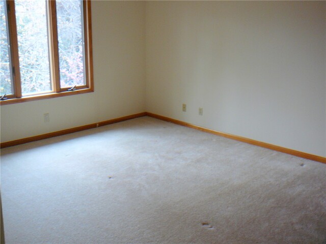 Photo of 1001 Holly Knoll Drive