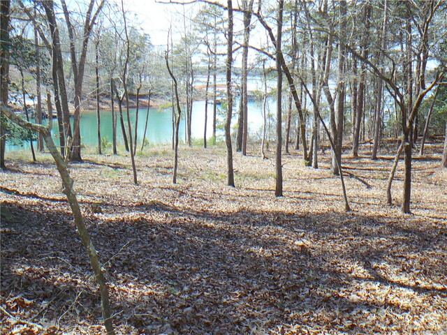 Photo of 1001 Holly Knoll Drive