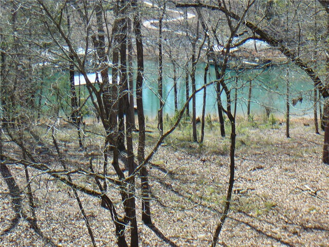 Photo of 1001 Holly Knoll Drive