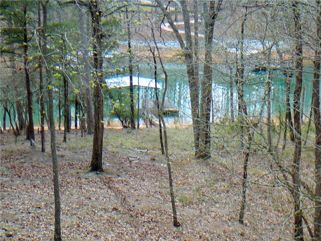 Photo of 1001 Holly Knoll Drive