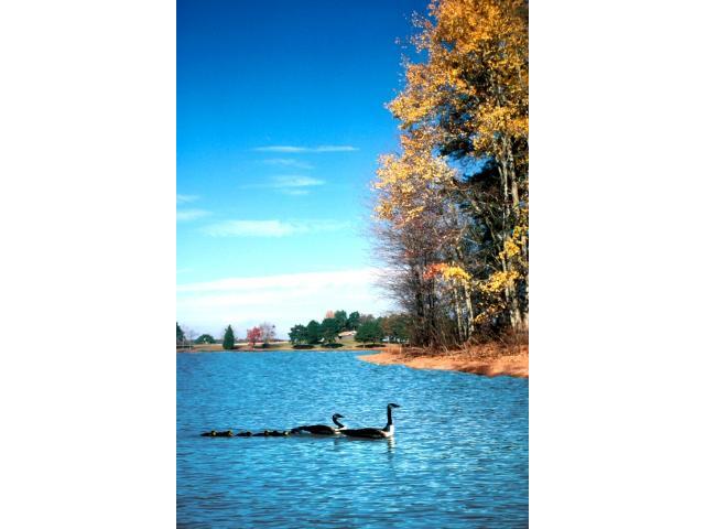 Photo of 110 Crosby Drive