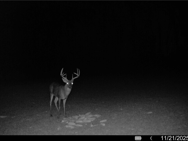 Photo of 00 Smith McGee Road