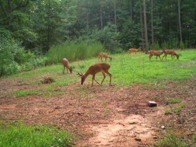 Photo of 00 Smith McGee Road