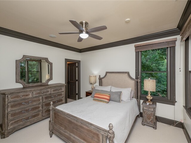 Photo of 509 Merganser Way