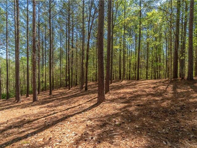 Photo of Lot 1 Canebrake Drive