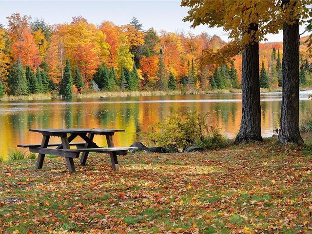 Photo of 235 Walnut Drive