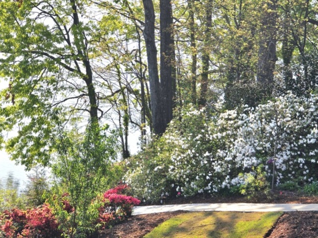 Photo of 516 Hillandale Road