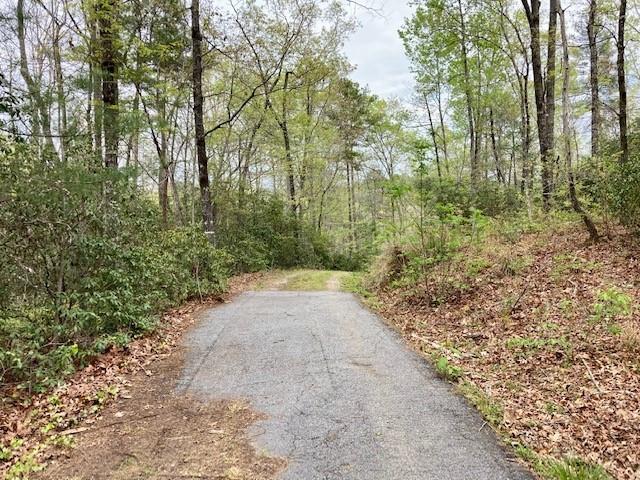 Photo of 265 Jocassee Point Road