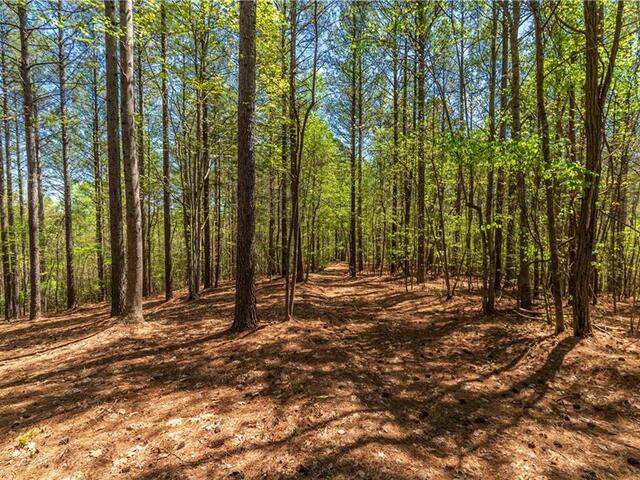 Photo of Lot 2 Canebrake Drive