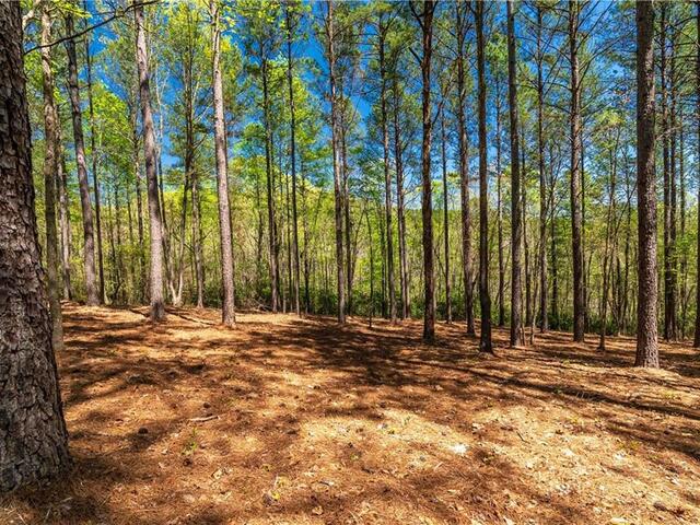 Photo of Lot 2 Canebrake Drive