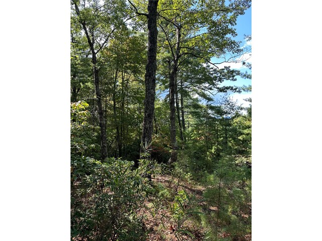 Photo of 318 Ginseng Drive