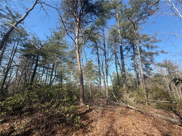 Photo of 318 Ginseng Drive