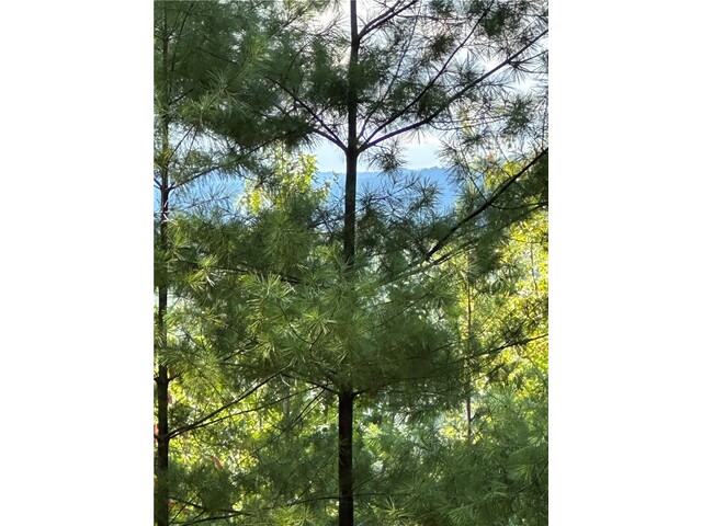 Photo of 318 Ginseng Drive