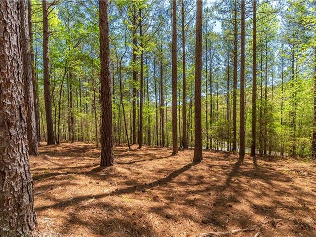 Photo of Lot 3 Canebrake Drive