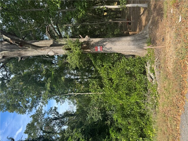 Photo of 404 Azalea Drive