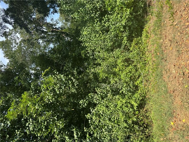 Photo of 404 Azalea Drive