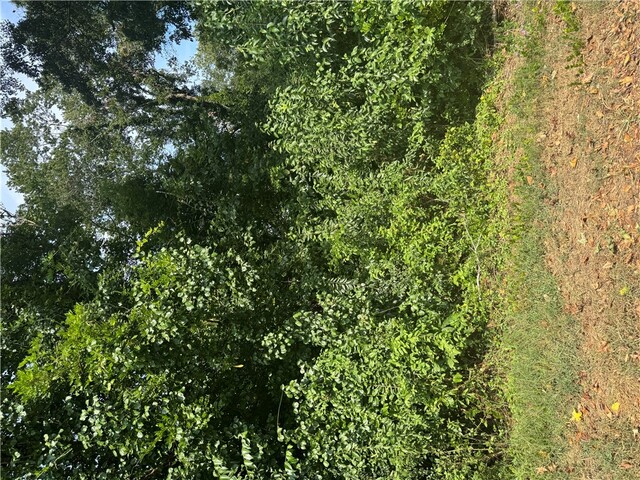 Photo of 404 Azalea Drive