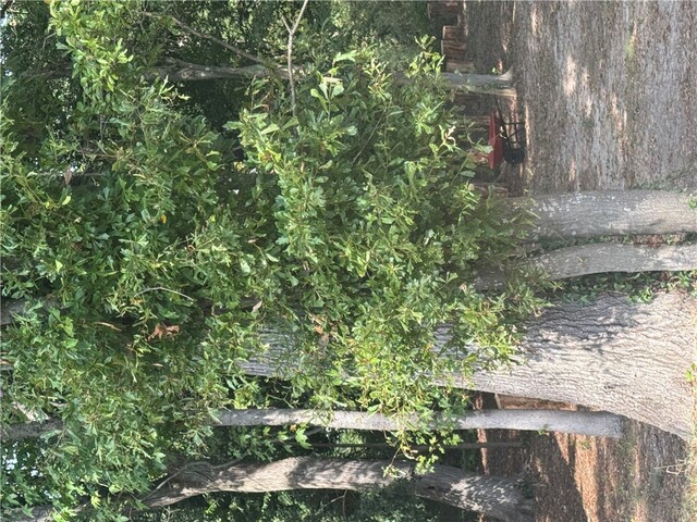 Photo of 404 Azalea Drive