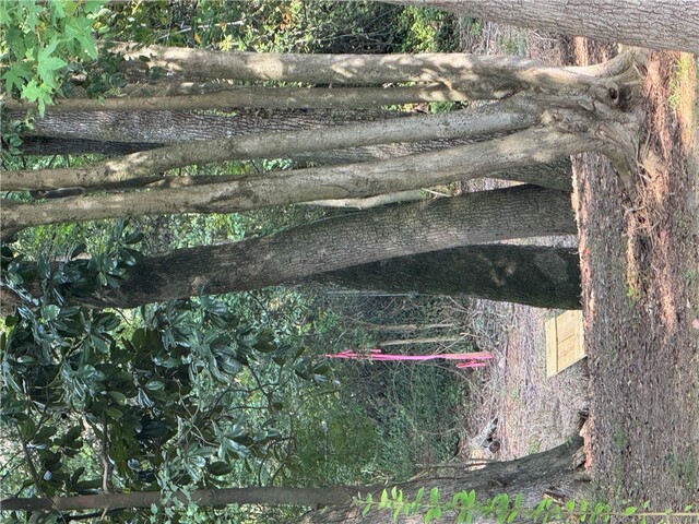 Photo of 404 Azalea Drive