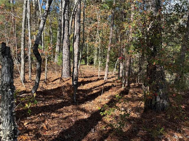 Photo of Lot 77 Keowee Bay Drive