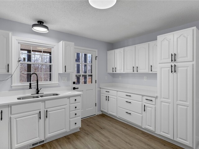 Photo of 242 Hawk Lane